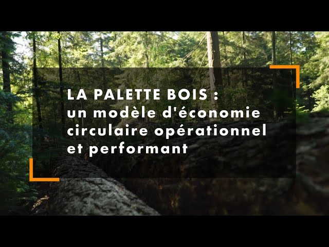 Vidéo Les atouts de la palette bois dans l’économie circulaire